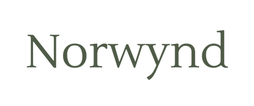Norwynd Logo 1 PNG
